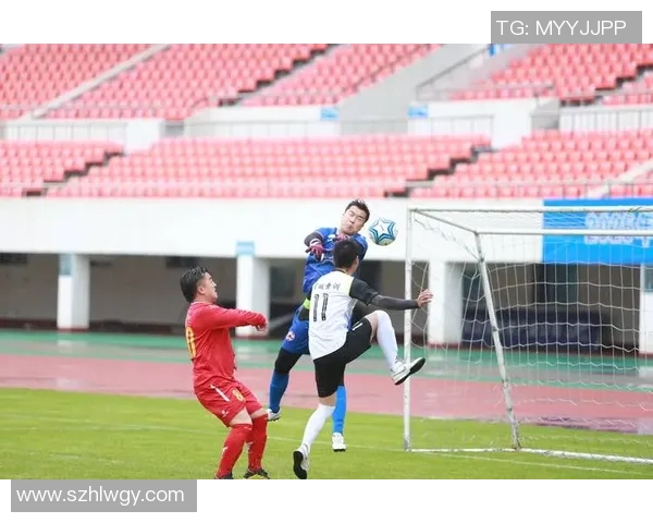 1995年南北足球明星对抗赛回顾与影响分析