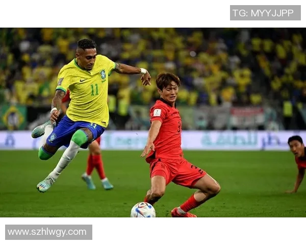 16号韩国足球明星的辉煌历程与对足球的热爱之旅